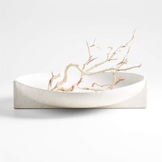 a white bowl with some branches in it