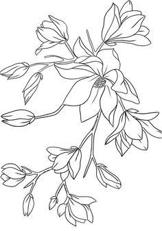 the outline of a flower on a branch with leaves and buds in black and white