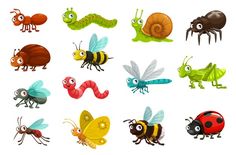 an image of bugs and insects with the words learn insects subs in front of them