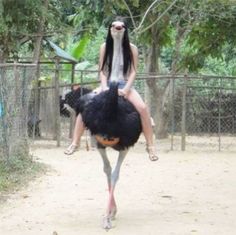 a woman riding on the back of an ostrich