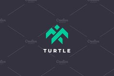 the turtle logo is designed in green and black