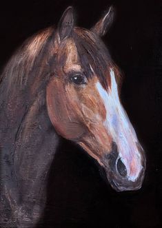 a painting of a brown and white horse on a black background with the head turned to the side