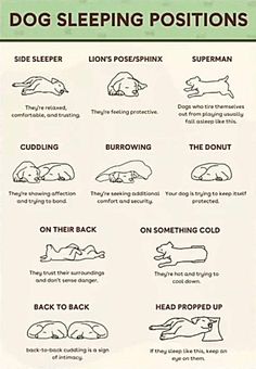 the dog sleeping positions chart is shown in green and white, with instructions on how to use