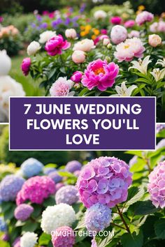 colorful flowers with the words 7 june wedding flowers you'll love on top and bottom