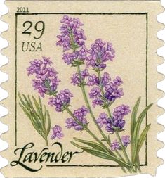 a stamp with lavender flowers on it