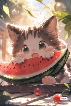 a cat laying on top of a piece of watermelon