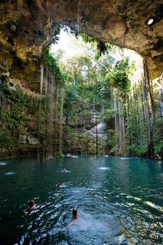 a man swimming in a pool surrounded by lush green trees and hanging rock formations above