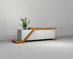 a white cabinet with a plant in it