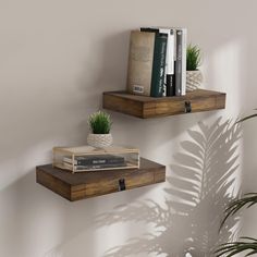 two wooden shelves with books and plants on them