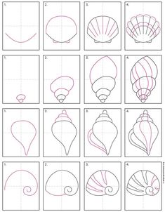 how to draw seashells step by step