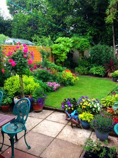 a garden with lots of plants and flowers