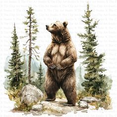 a brown bear standing on its hind legs in front of some trees and rocks with the words,