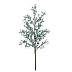 a small tree with lots of white lights on it's branches, in front of a white background