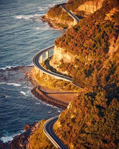 an aerial view of two winding roads near the ocean with trees and cliffs on either side