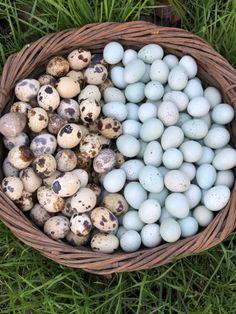 a basket filled with eggs sitting on top of green grass