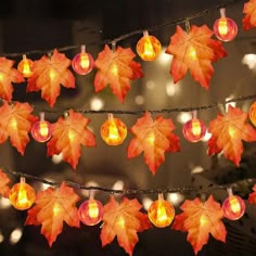 some lights that are hanging from a string with leaves on them and lit up in the dark