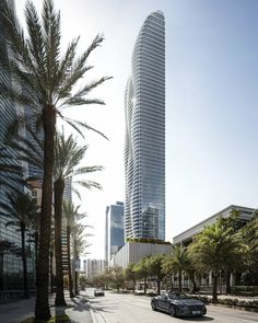 two cars parked on the side of a road in front of tall buildings and palm trees