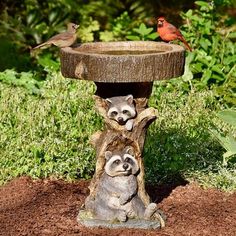 three raccoons are sitting on the base of a birdbath with two birds perched on it