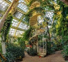 the inside of a greenhouse with stairs and plants