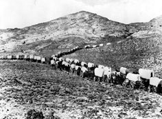 black and white photograph of a herd of sheep walking down a road with mountains in the background