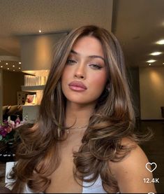 Hair Inspo Caramel Highlights, Honey Blonde Hair For Brunettes, Long Face Framing Layers Blowout, Hair Inspo Brunette Balayage, Face Frame Highlights Brown Hair, Blowout Homecoming Hair, Highlights With Red Undertones, Hair Inspo For Latinas, Iced Brunette Hair