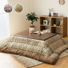 a living room with a couch, bookshelf and potted plant on the floor