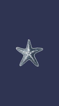 an image of a starfish in the water