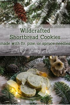 the homemade shortbread cookies are made with pine or spruce needles