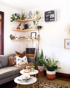 a living room filled with furniture and lots of plants on top of shelves above the couch