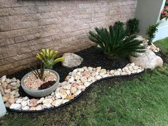 a small garden with rocks and plants in it