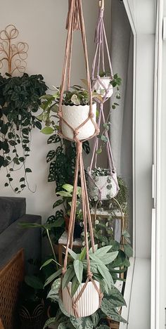 several hanging planters with plants in them