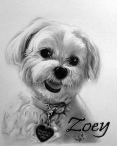 a black and white drawing of a dog with a tag on it's collar