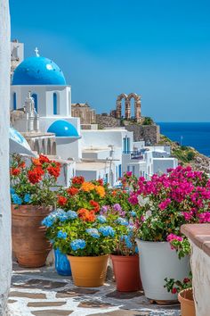 colorful flowers and potted plants in front of a building with blue domes on the roof