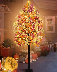 a lighted tree in the middle of a room with pumpkins and other decorations around it