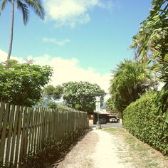 a dirt road that is next to a wooden fence and palm trees on the other side