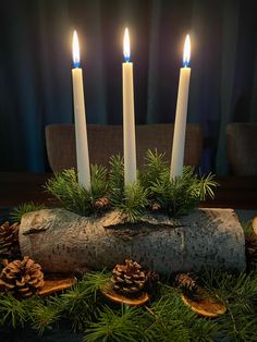 three lit candles are on top of a log