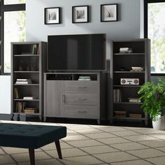 a living room scene with focus on the entertainment center