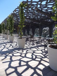 there are many potted plants on the deck