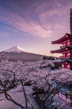 the pagoda is surrounded by cherry blossom trees and mountains in the background, with snow - capped mountain in the distance