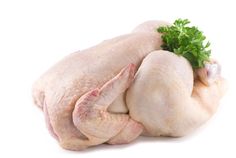 raw chicken with parsley on white background stock images and clippings are included in this image