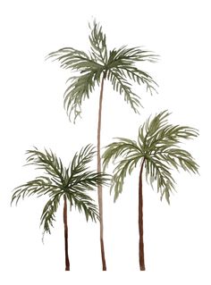 three palm trees on a white background with clippings to the left and right