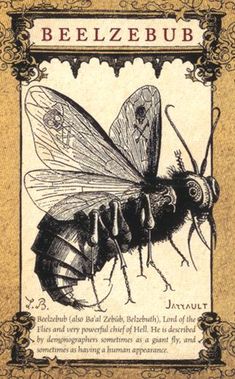 the book cover for beezebub, with an image of a fly on it