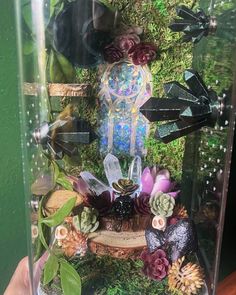 a glass case filled with lots of different types of flowers and plants on top of grass