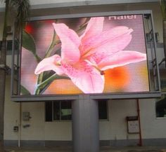 a large pink flower on the side of a building with palm trees in the background