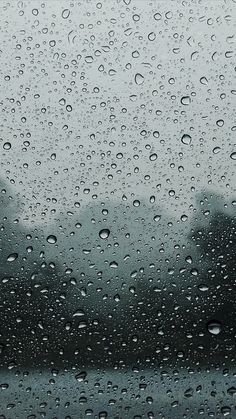 rain drops on a window with trees in the background