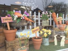 there are many potted plants on display in the store front window, including carrots and daffodils