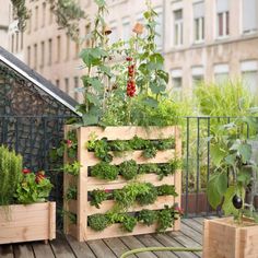 a wooden planter filled with lots of plants on top of a wooden deck next to buildings