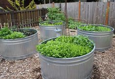 several metal containers filled with plants in a garden