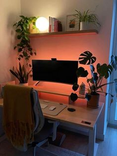 a desk with a computer and some plants on it