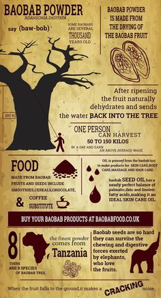 #HealthTipsForHealthyLiving Boabab Tree Benefits, Benefits Of Baobab Powder, Baobab Tree Fruit, Baobab Benefits, Superfood Benefits, African Trees, Baobab Fruit, Superfoods Benefits, Baobab Powder